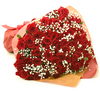 ◆バラ（薔薇）の花束◆レッド１００本　かすみ草付き