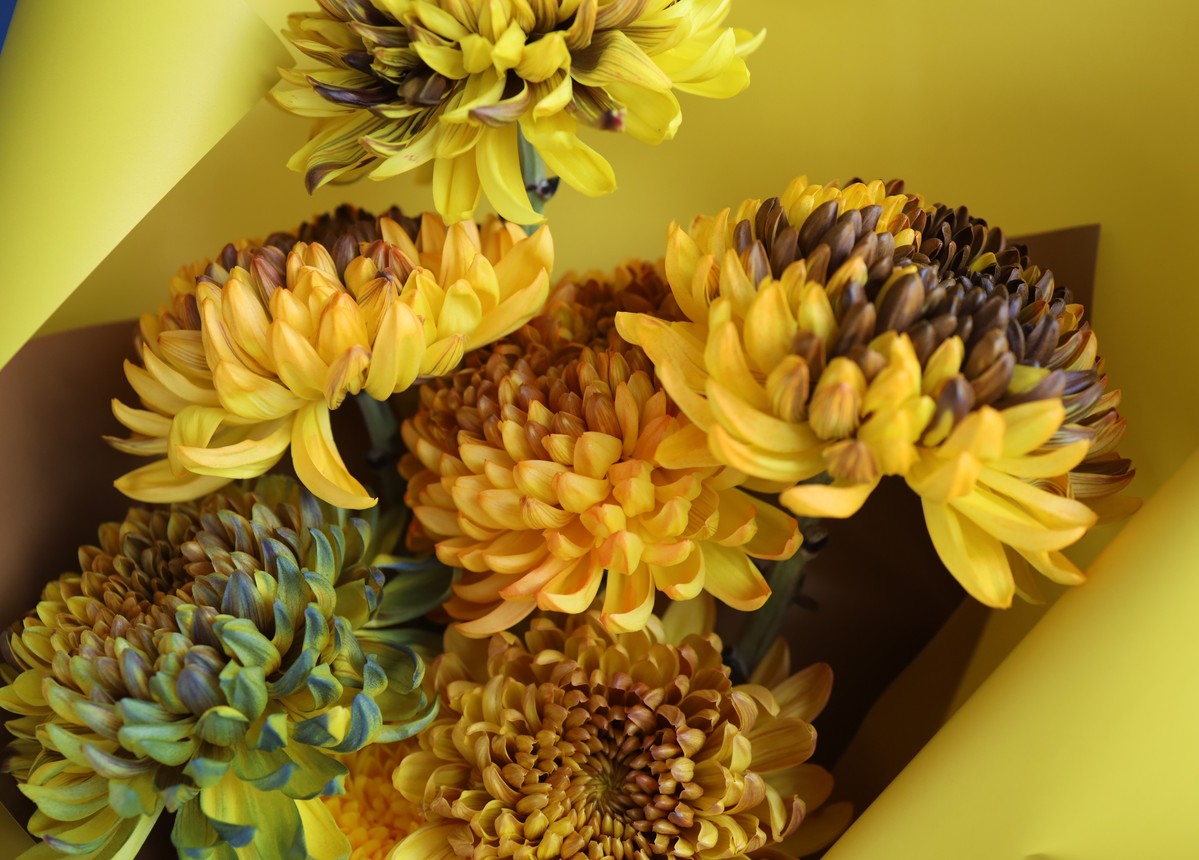 *フラワーアレンジメント*グレッヘン