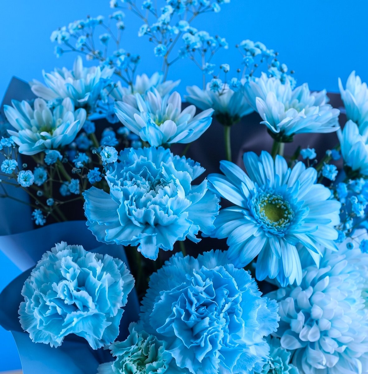 米寿お祝い花 -CUTE TURQUOISE
