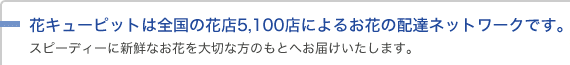 花キューピットは全国の花店5,100店によるお花の配達ネットワークです。スピーディーに新鮮なお花を大切な方のもとへお届けいたします。